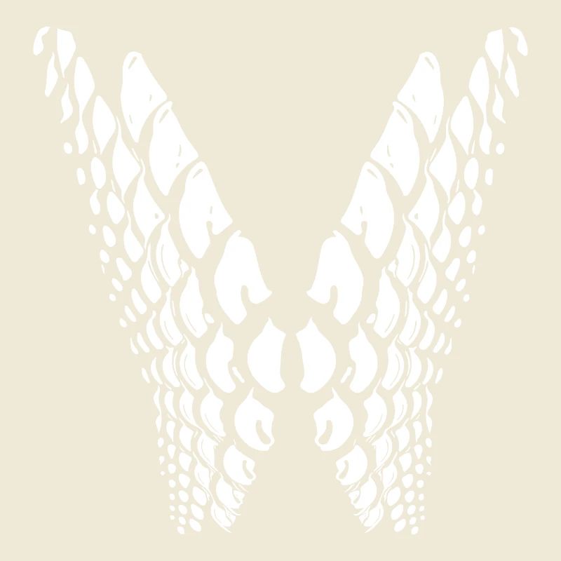 Geometric points in wing shape