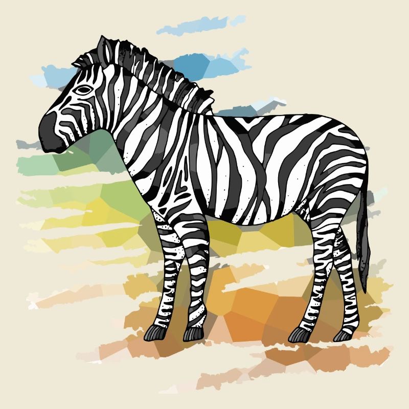 Zebra