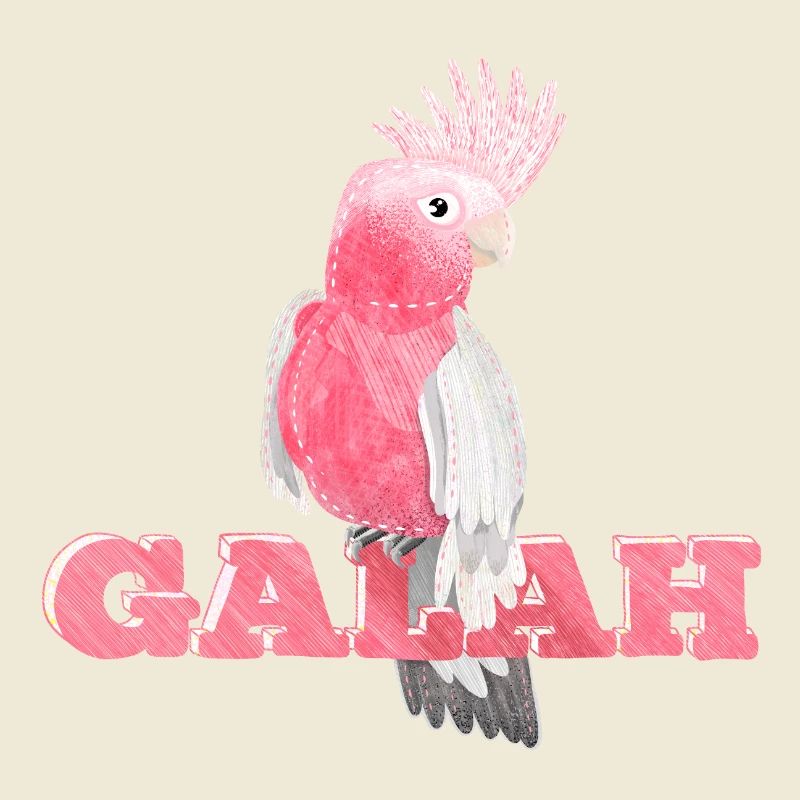 Cute pink Galah