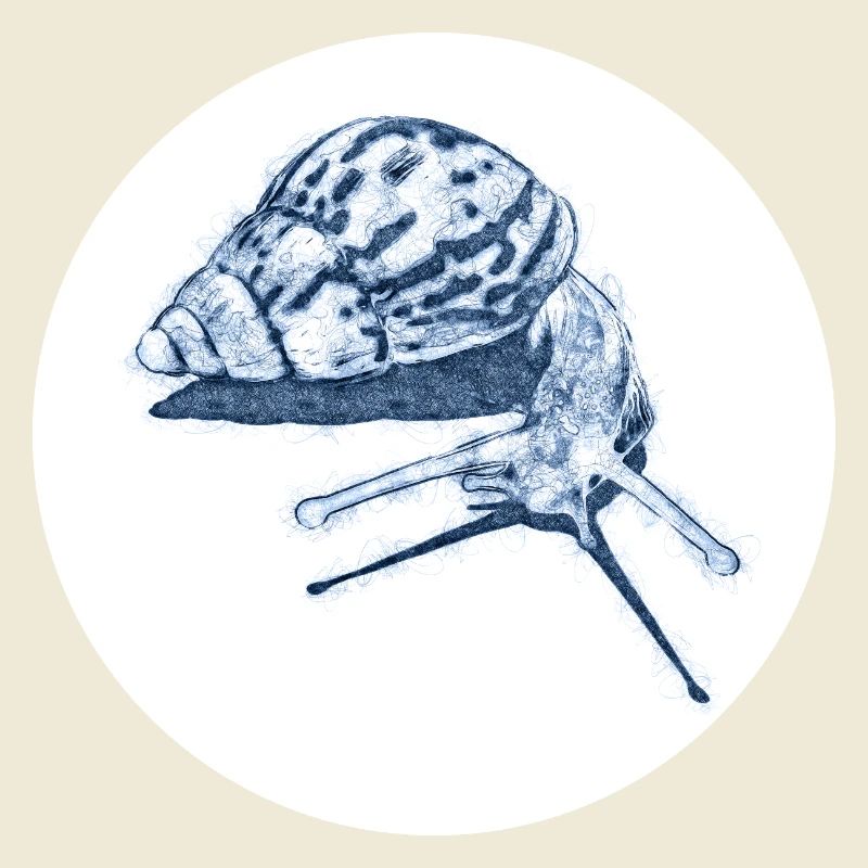 snail with shadow scribble art