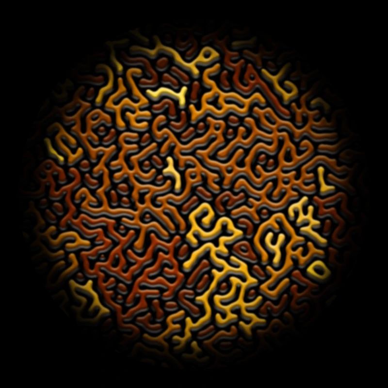 Turing Pattern