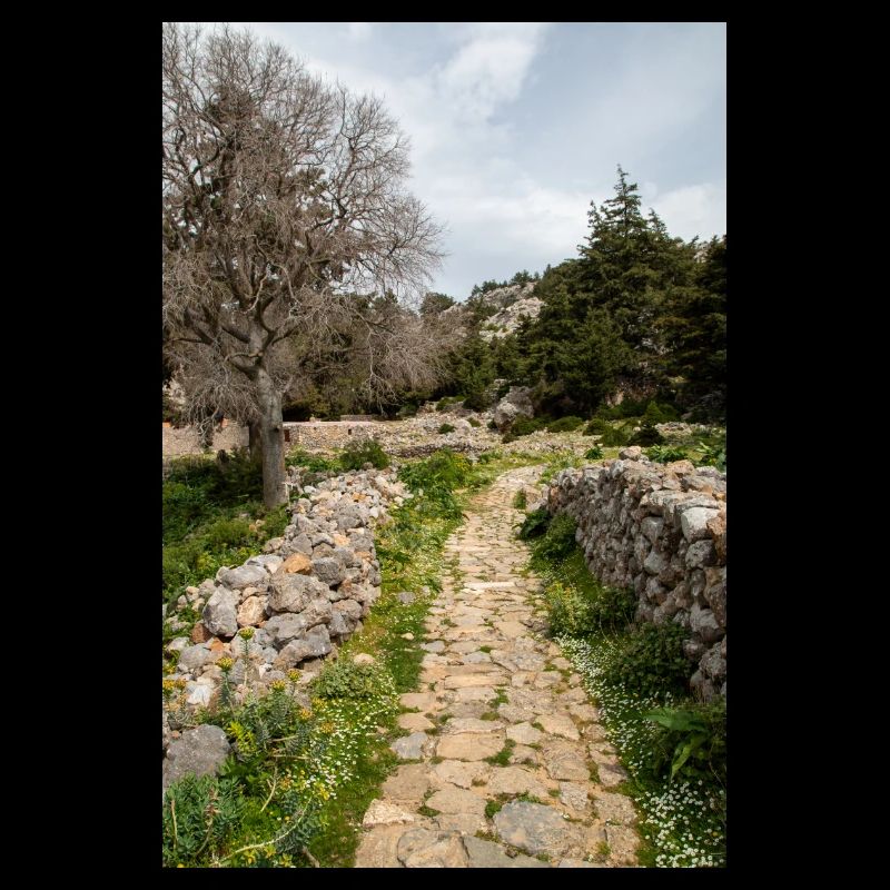 ruines du château médiéval Palio Pyli Kos