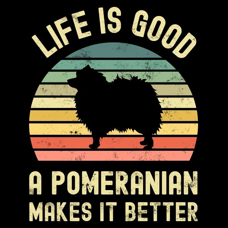 Dog Pomeranian