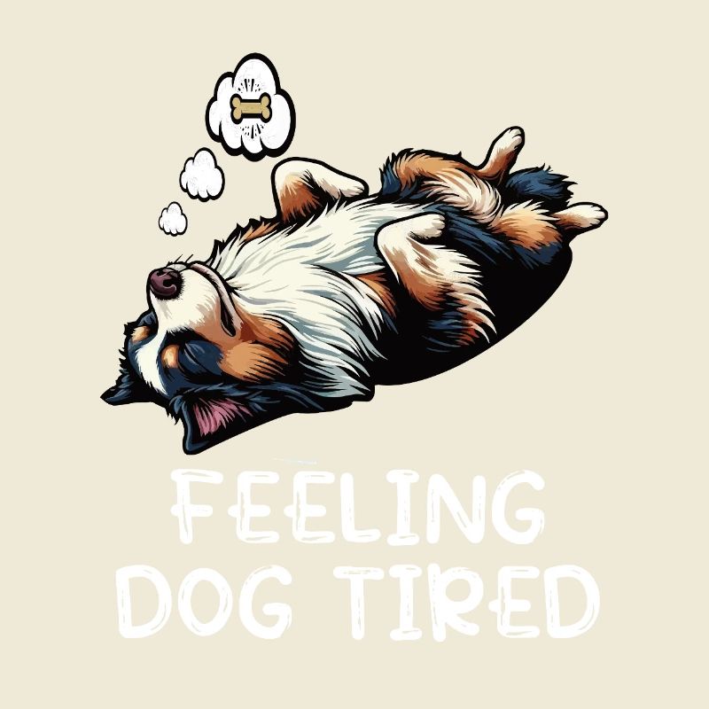 Feeling Dog Tired Australian Shepherd Aussiehalter