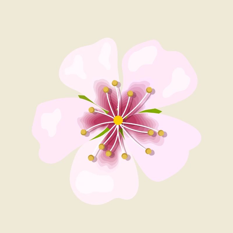 blossom