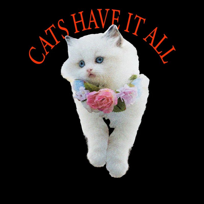 Sassy Cat