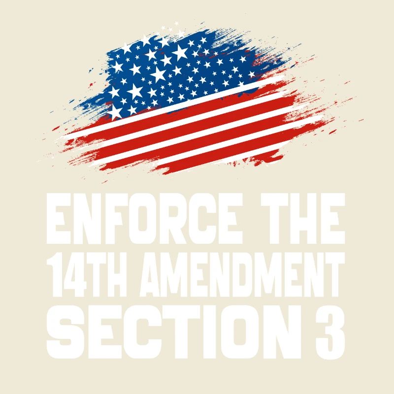 Enforce The 14TH Amendment Section 3