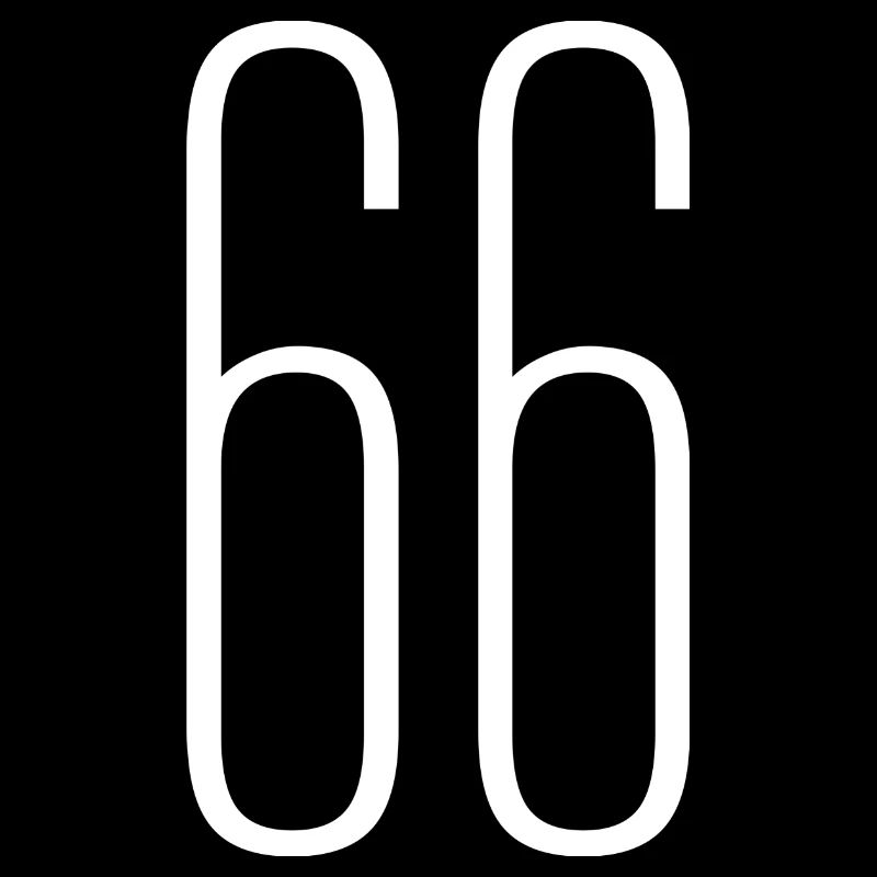 66