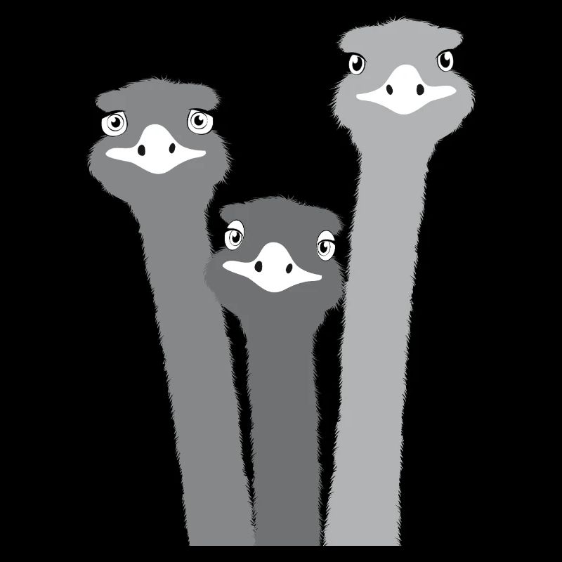 Nandu, ostrich head, emu, ostrich