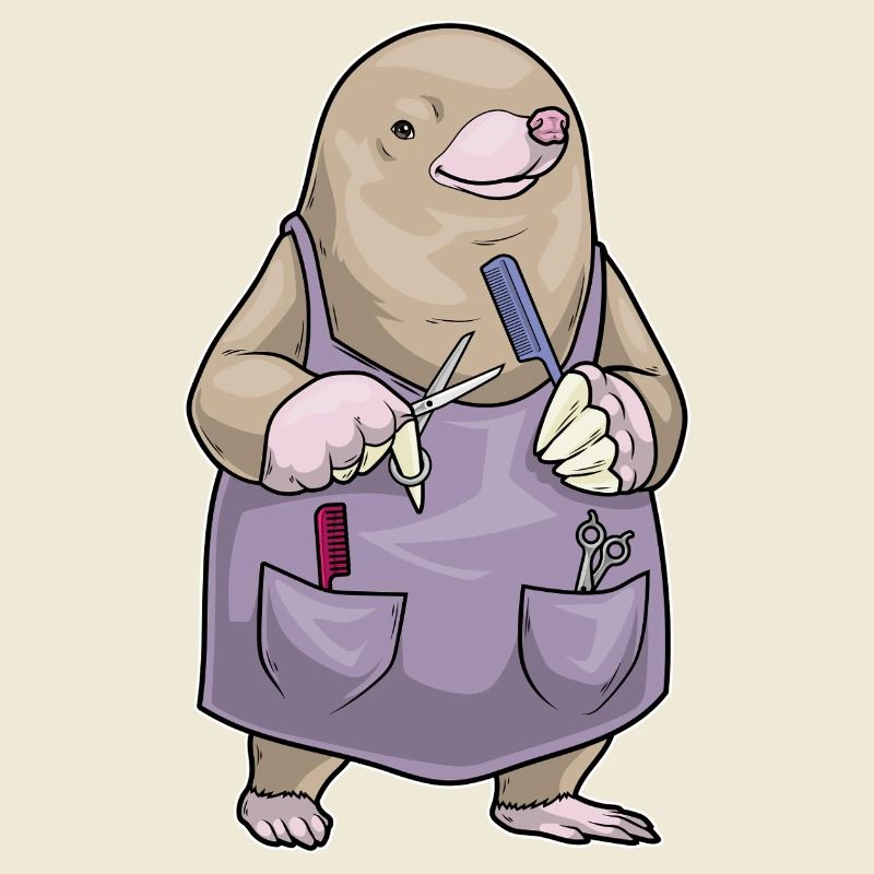 Peigne et ciseaux de coiffeur Mole