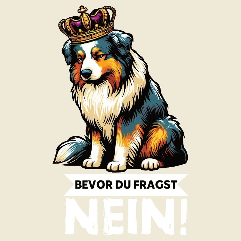 Bevor Du Fragst Australian Shepherd Aussie Aussie