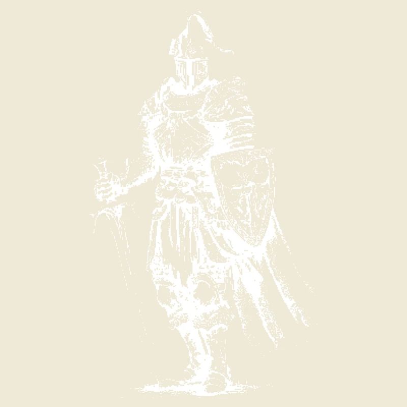 Skeleton Knight Armor