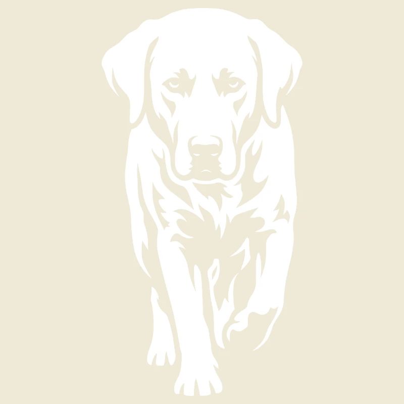 Labrador – Timeless elegance