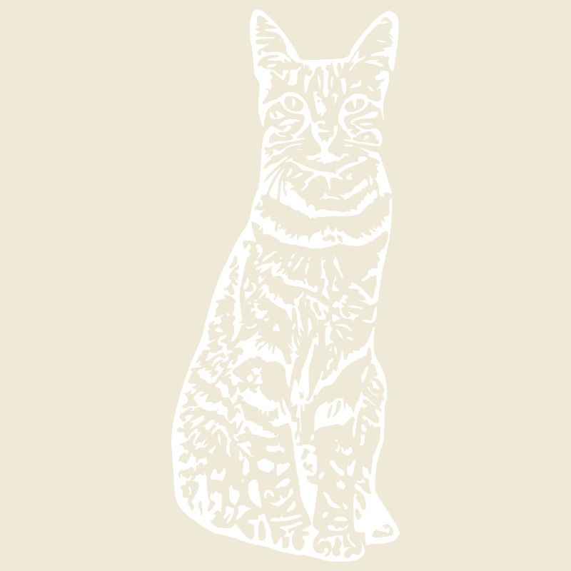 Chat chat chaton
