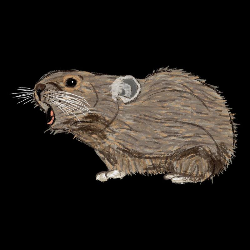 Nettes Design mit einem Pika/Pfeifhasen