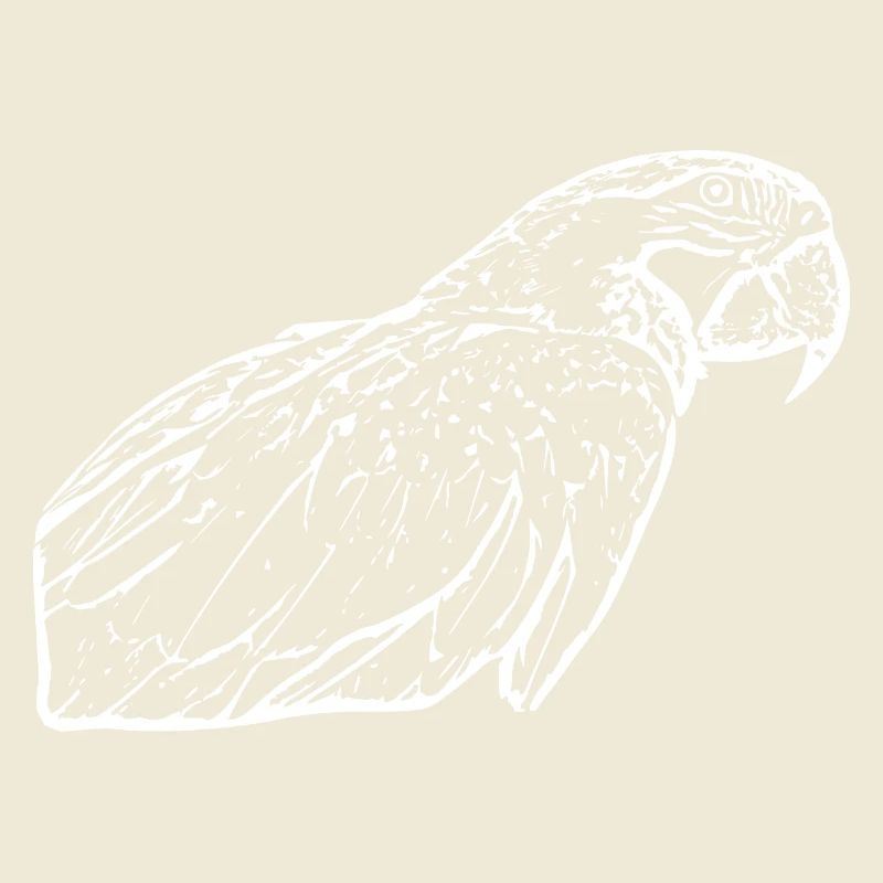 Parrots Bird White