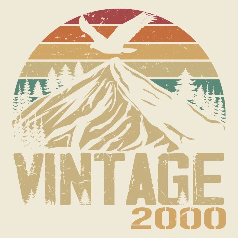 Vintage 2000 Retro 2000 Anniversary Gift