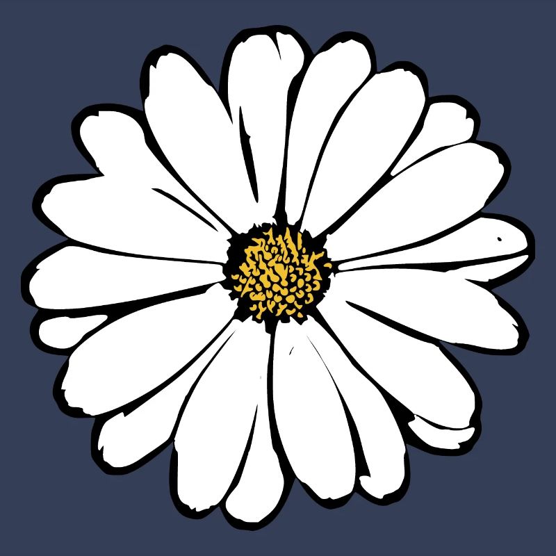 Fleur Fleurs Blanches Fleurs Blanches Été Hippie Idée Cadeau