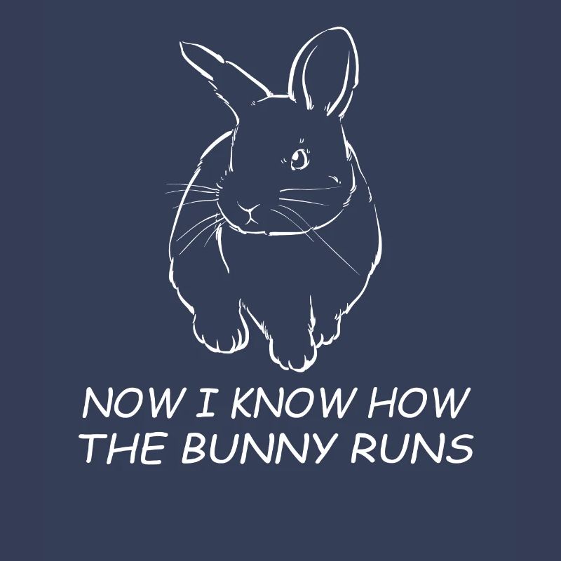 Denglisch Now I know how the rabbit runs