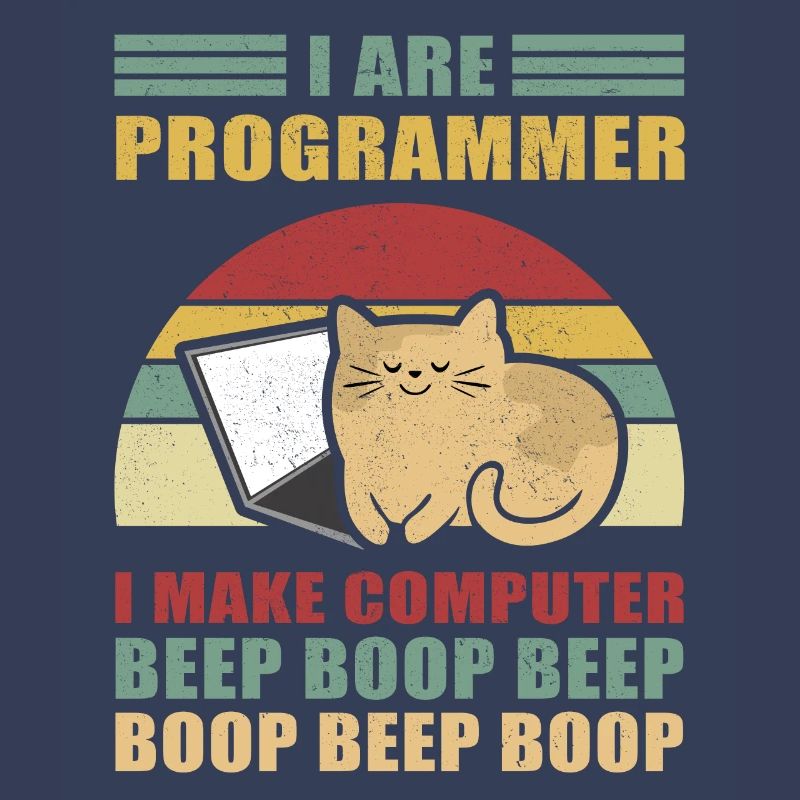 Programmierer Geschenk Admin Computer Informatiker