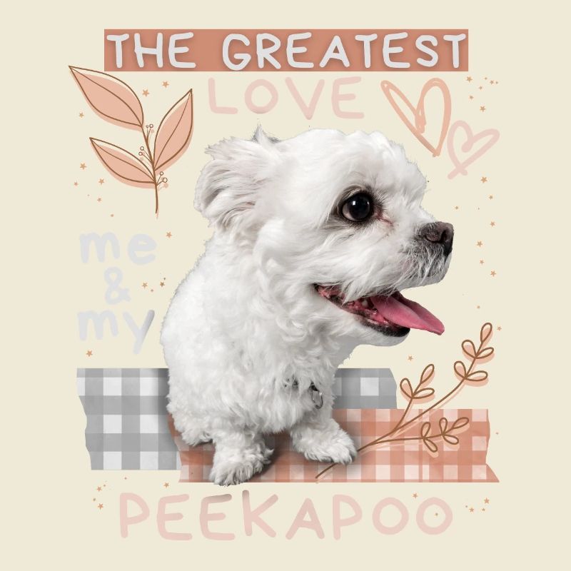 Peekapoo, Hund, lustiger Spruch