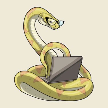 Computer portatile serpente