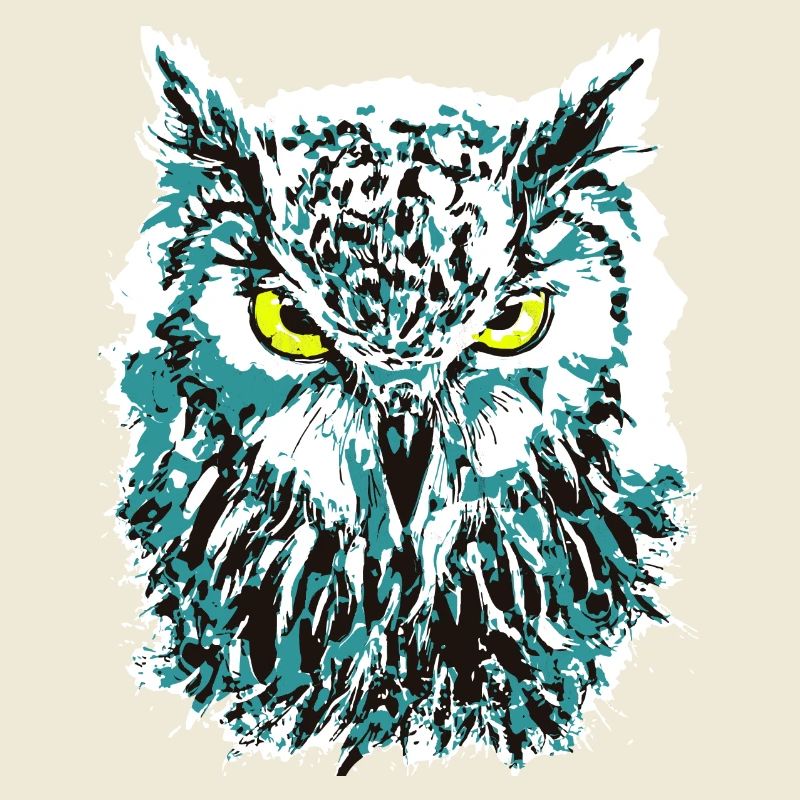 Bunte Eule - Eulenkopf - Kauz - Farbenfrohe Eule