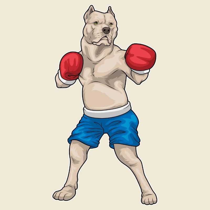 Pitbull Boxer Gants de boxe Boxe