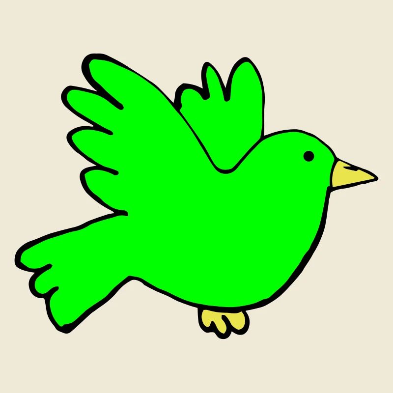 Couleurs des oiseaux