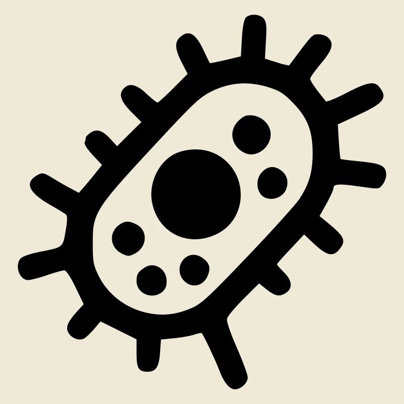 Bacteria