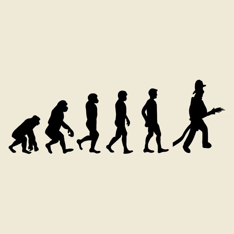 Fire evolution