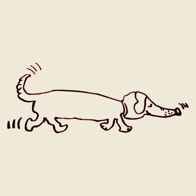drôle teckel, teckel, chien, teckel