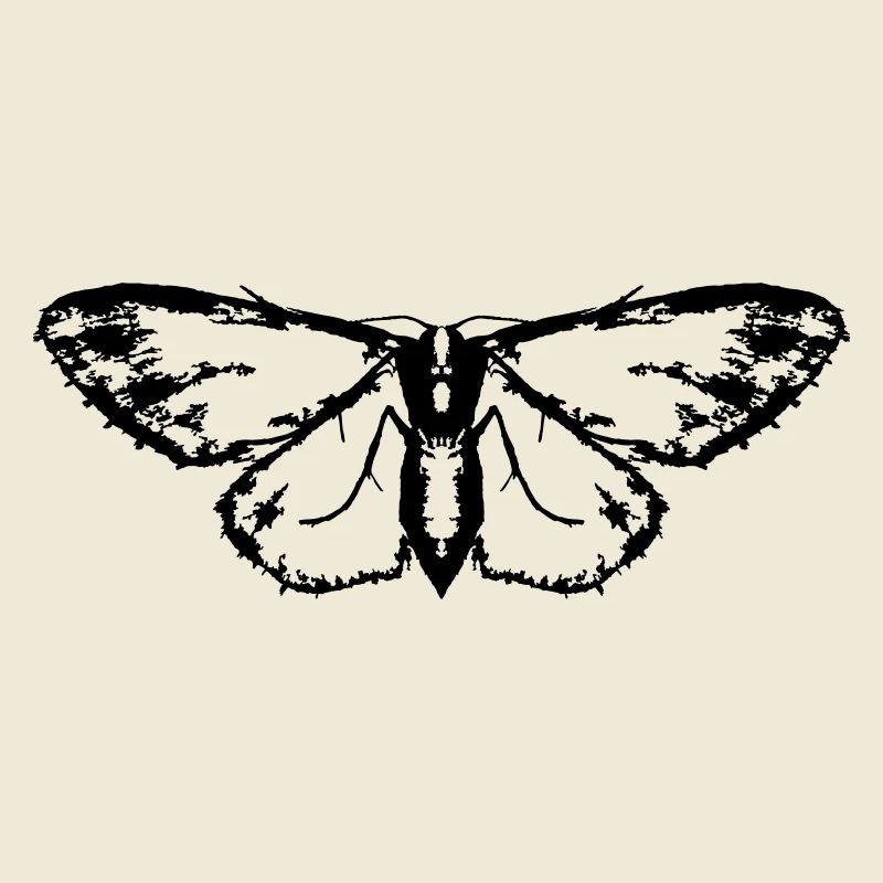 Moth / Butterfly / Moth