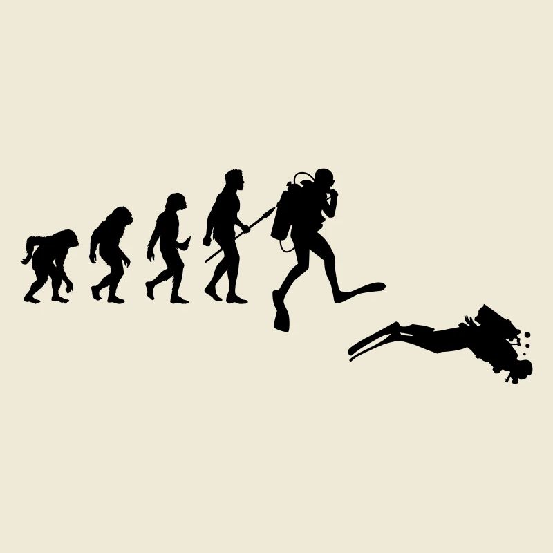Évolution de Diver