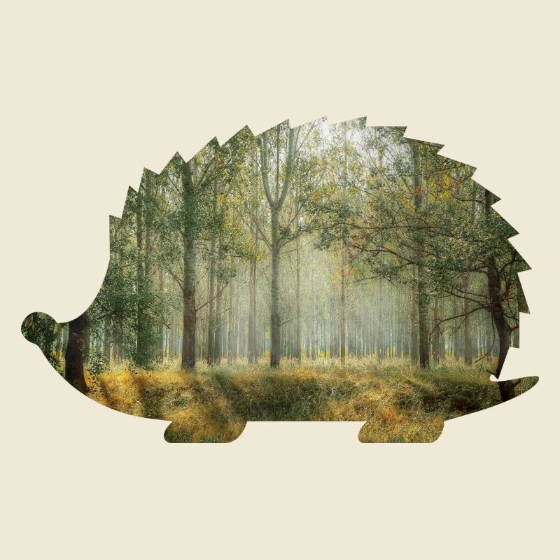 forêt 9 hérisson avec forêt