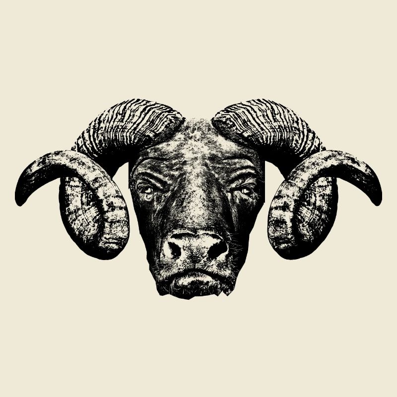 Minotaur / Head