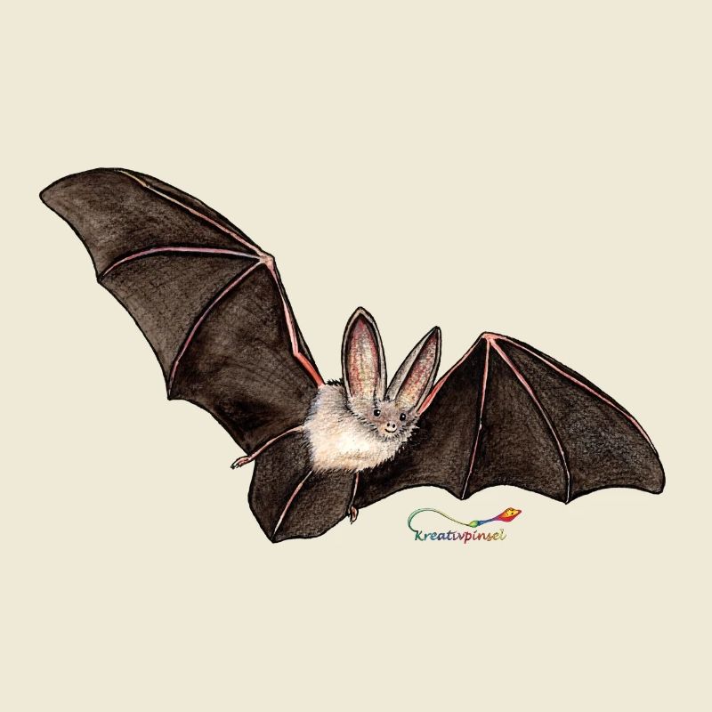 Mouse ear, a bat