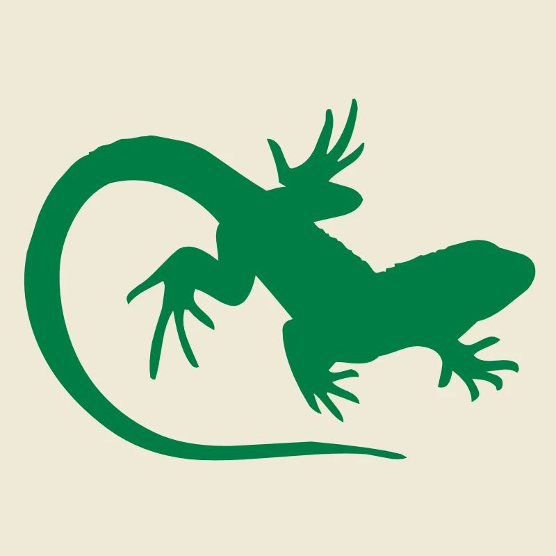 lizard
