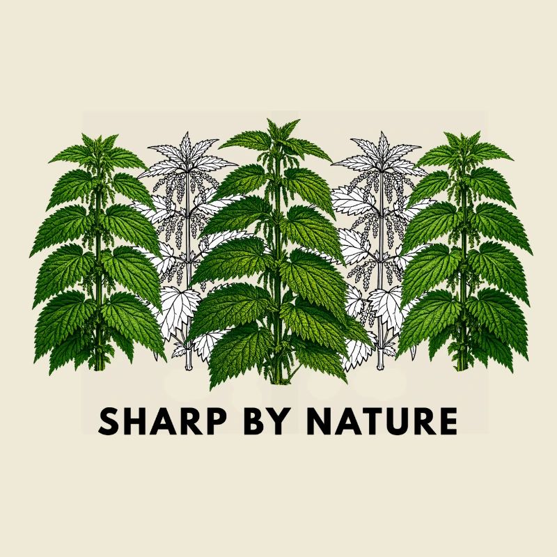 Stinging nettle is sharp by nature