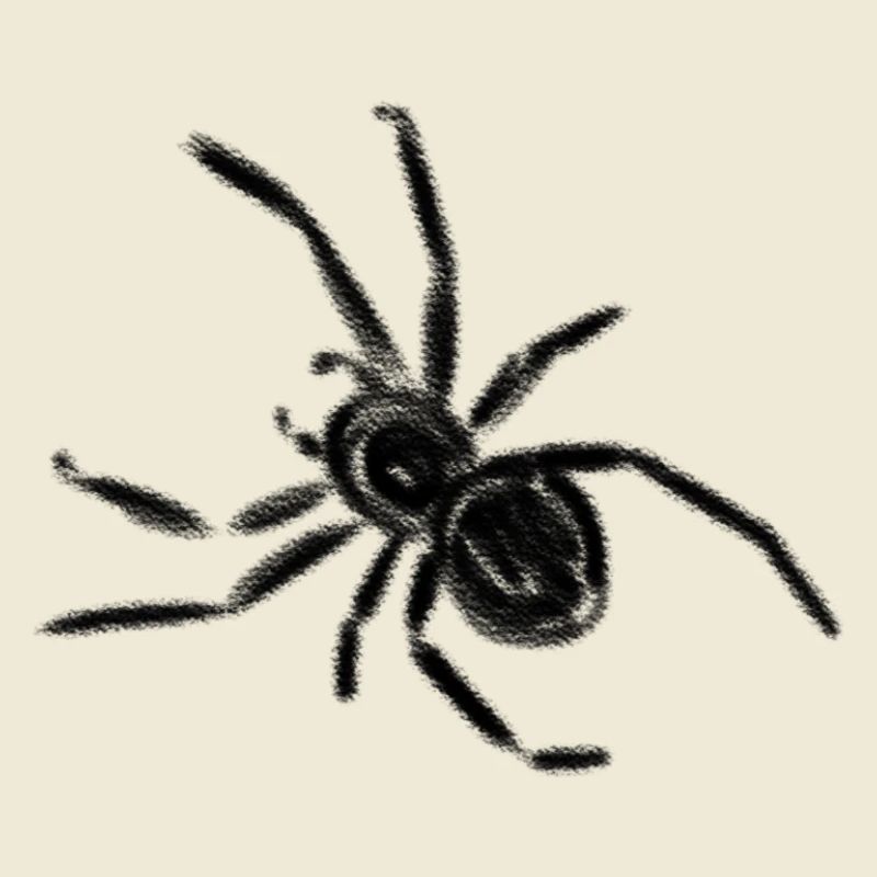 Araignée