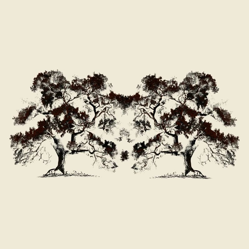Tree, Trees, Botany, Flora, Forest, Nature