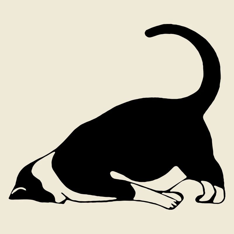 Sleeping cat