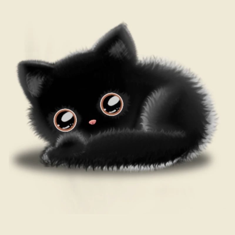 Black Cat 🐈 ⬛
