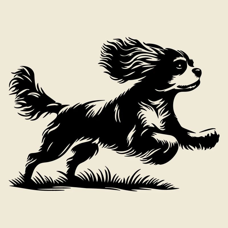 Cavalier King Charles Spaniel