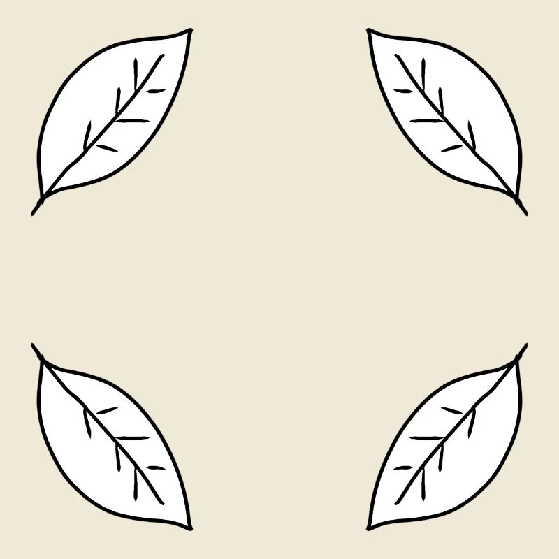 Leaf Four Leaves Frame Shape Nature