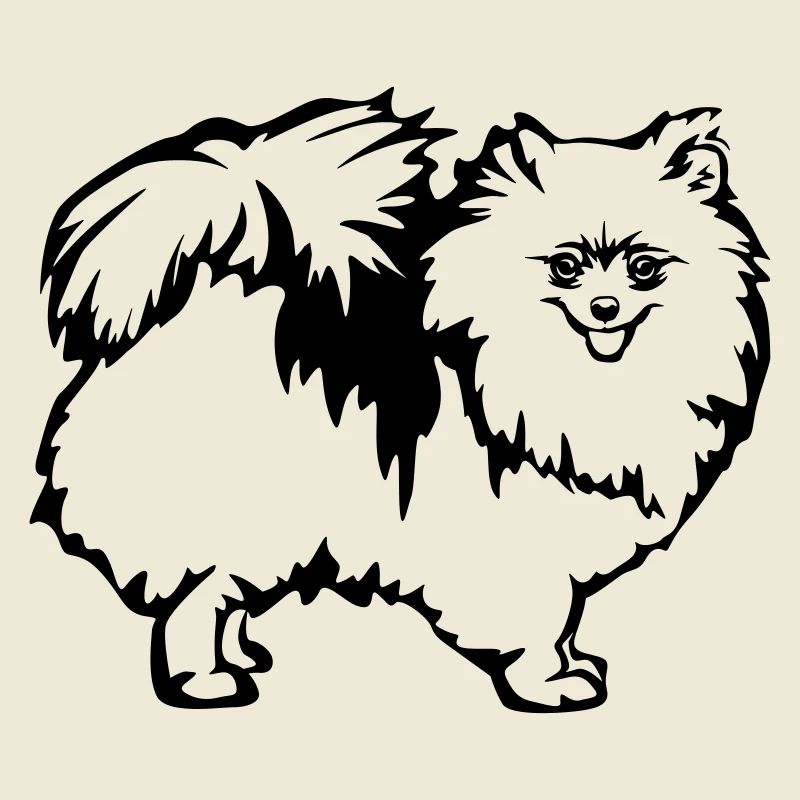 Spitz nain