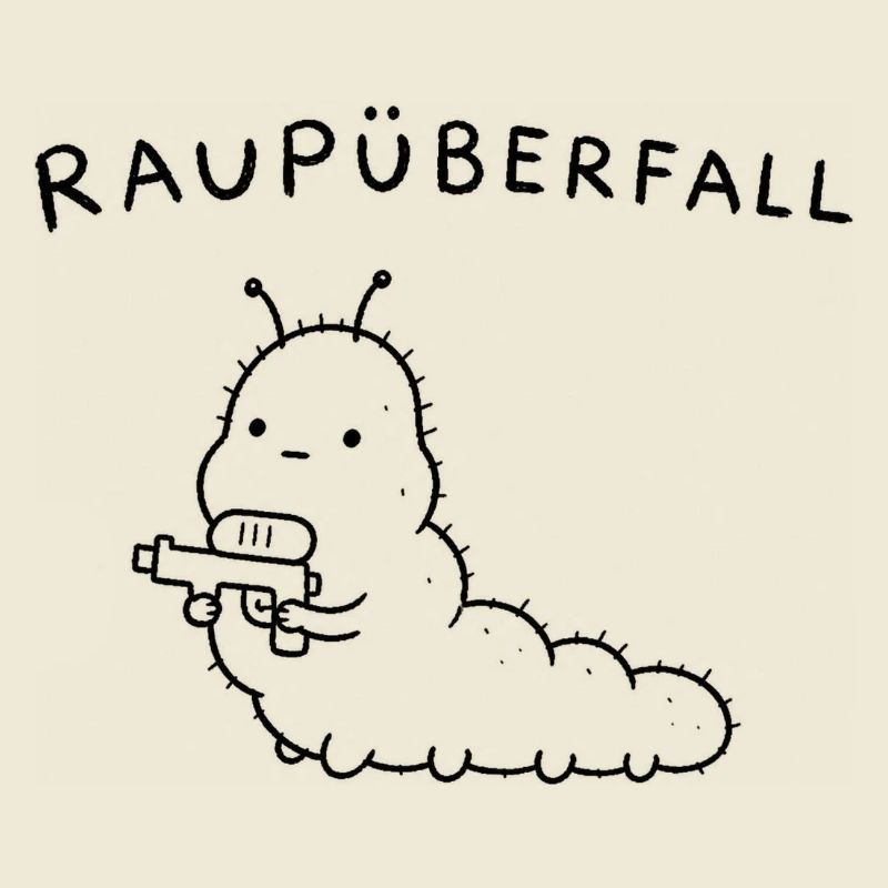 Raupüberfall