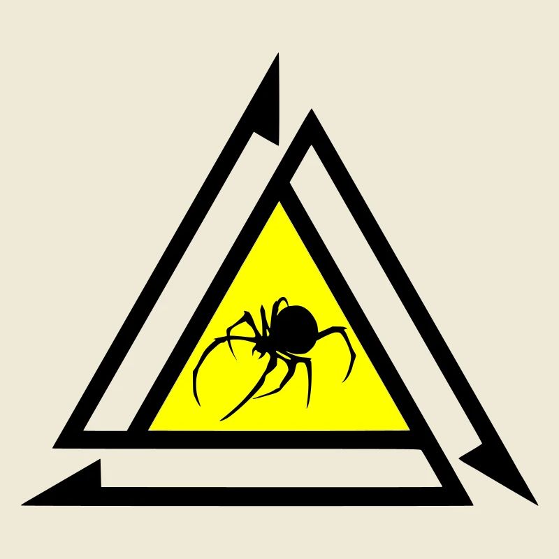 Spinne