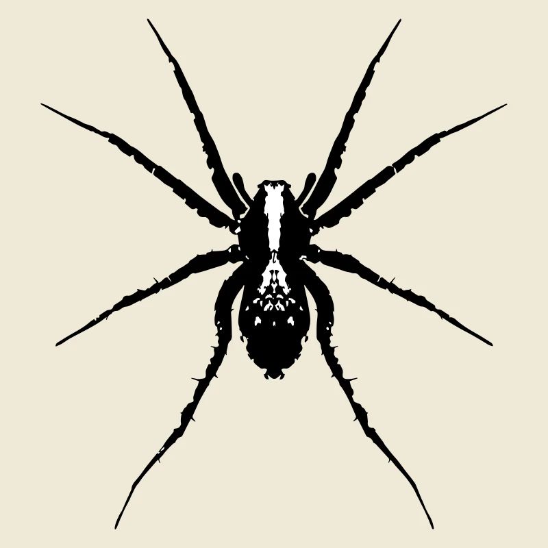 Spinne / Wolfsspinne
