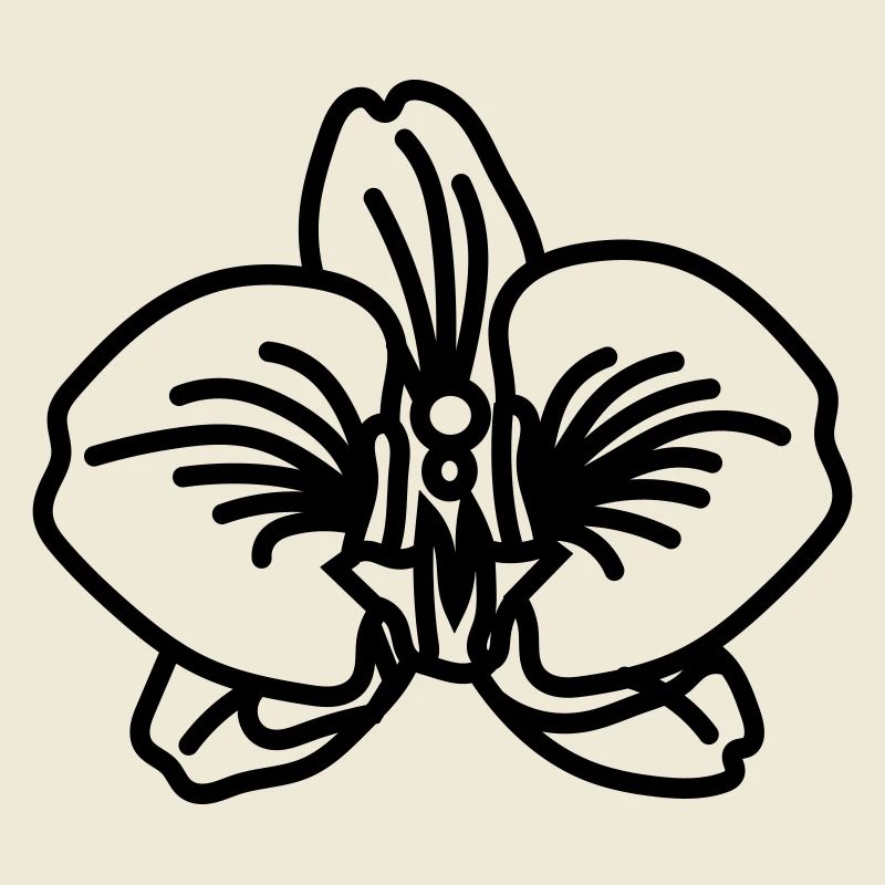 Orchidee